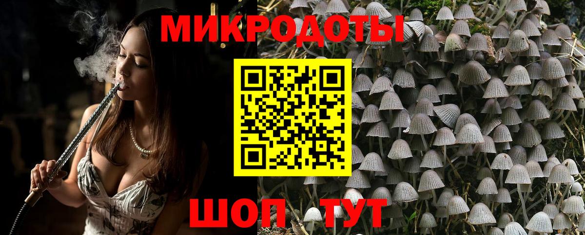 Галлюциногенные грибы Magic Shrooms Канск