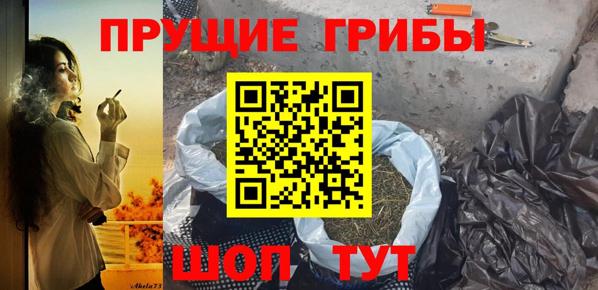 купить  цена  Галлюциногенные грибы мицелий  Вход с VPN  Канск 